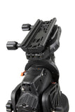 Celestron CGX-L Mount Head Ktec Telescopes