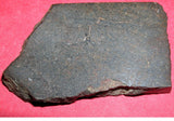NWA 6624 37.7g Meteorite Polished Part Slice Ktec Telescopes