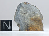NWA 7856 LL6 11.5g Meteorite Crusted End Cut Polished Side Ktec Telescopes Ireland