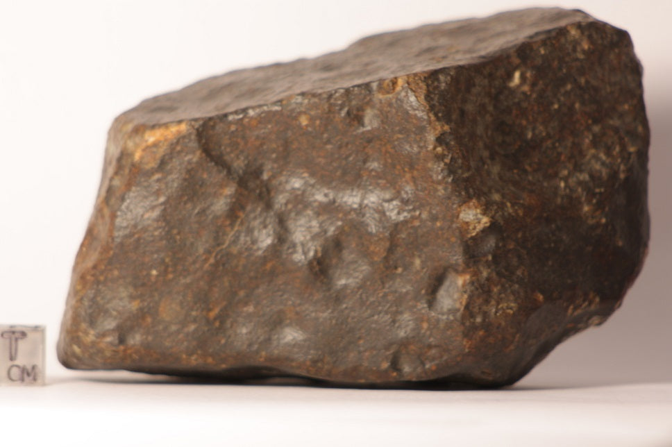 NWA 7998 L5 Meteorite 660.8g Whole Stone – Ktec Telescopes Ltd