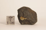Chelyabinsk 20.7g Meteorite Complete Ktec Telescopes Ireland