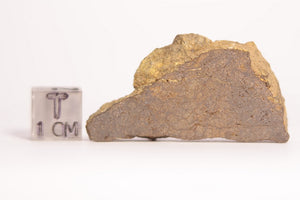 NWA 2965 Enstatite Achondrite Meteorite 10.2g Slice