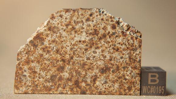 NWA 6284 L5 18g Meteorite Part Slice Ktec Telescopes Ireland