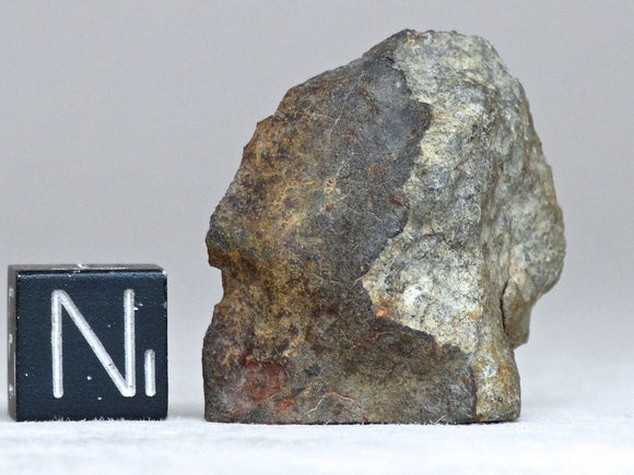 NWA 7856 LL6 11.5g Meteorite Crusted End Cut Ktec Telescopes Ireland