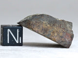 NWA 7856 LL6 11.5g Meteorite Crusted End Cut Side Ktec Telescopes