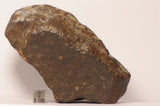 NWA 7998 L5 Meteorite 660.8g Whole Stone 2 Ktec Telescopes Ireland