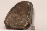 NWA 7998 L5 Meteorite 660.8g Whole Stone End Ktec Telescopes Ireland