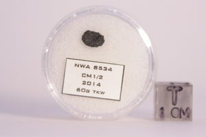 NWA 8534 CM1/2 Meteorite Fragment Super Rare